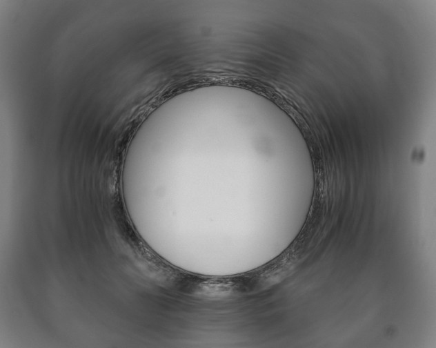X0000090900606200707301013