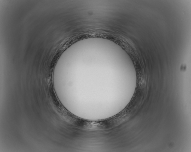 X0000090900607200707301013
