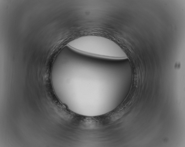 X0000090900608200707301013