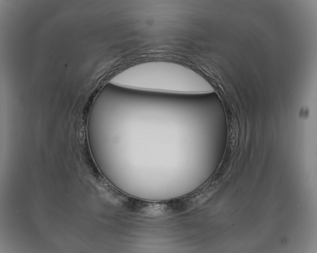 X0000090900609200707301013