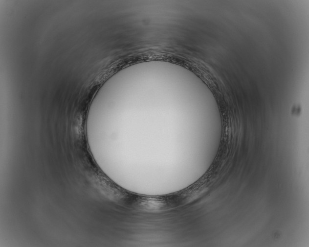 X0000090900610200707301013