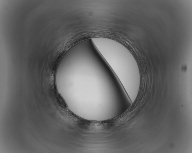 X0000090900613200707301013