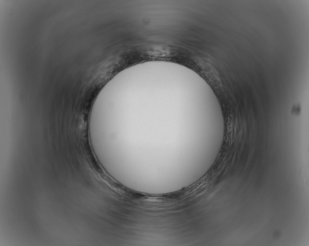 X0000090900614200707301013
