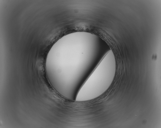 X0000090900616200707301013