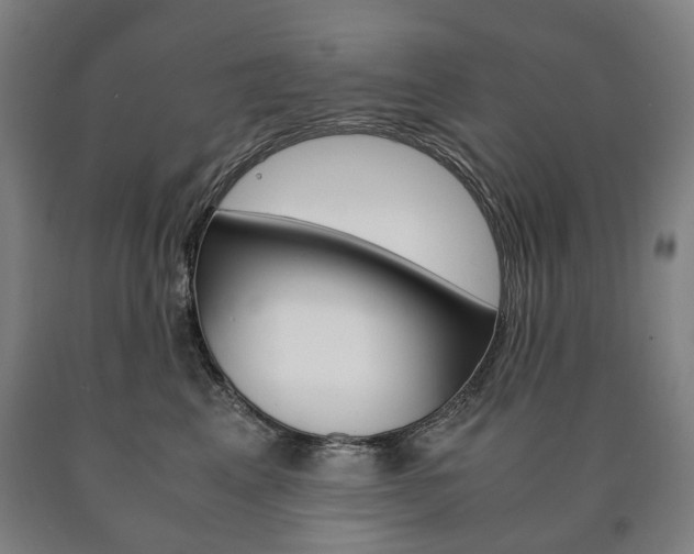 X0000090900617200707301013