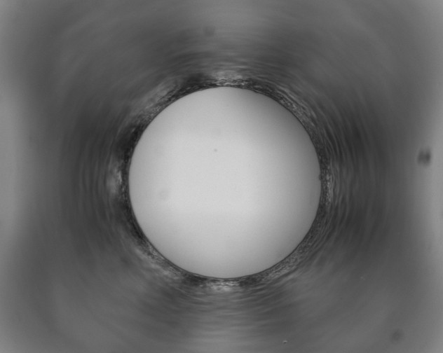 X0000090900618200707301013