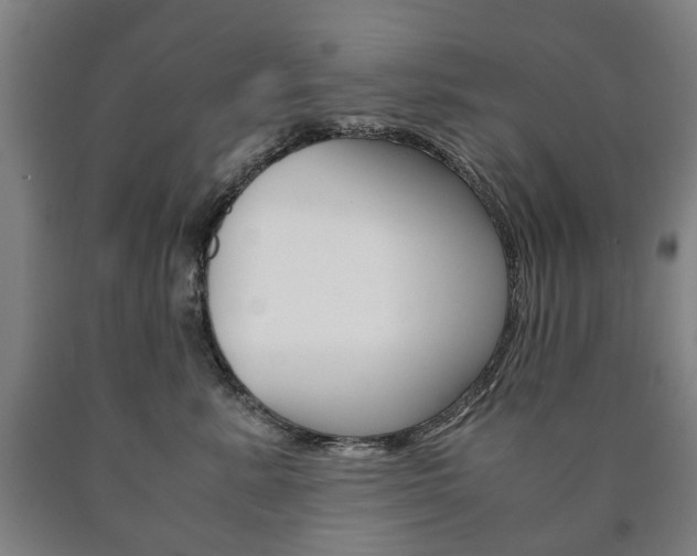 X0000090900619200707301012