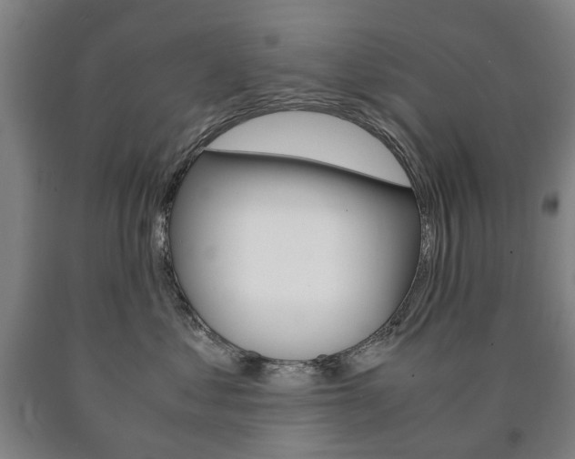 X0000090900621200707301012