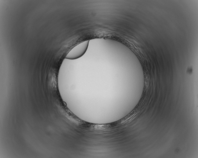 X0000090900622200707301012