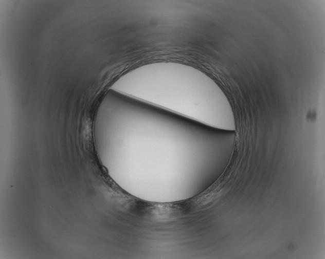 X0000090900623200707301012
