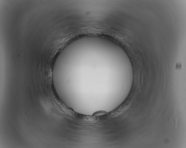X0000090900624200707301012