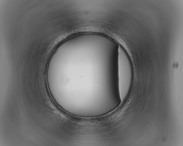 X0000090900625200707301012