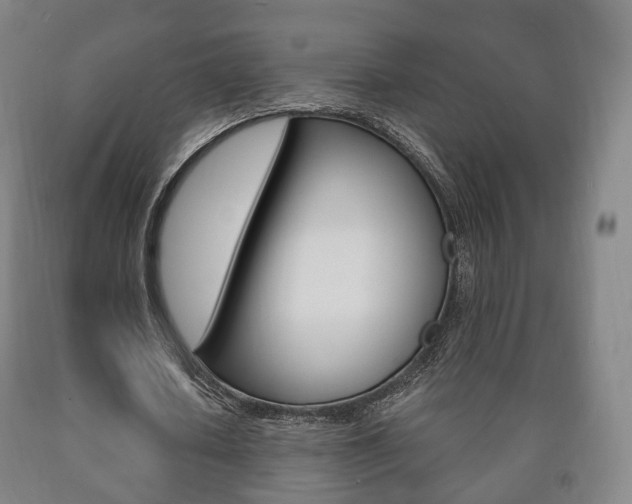 X0000090900626200707301012