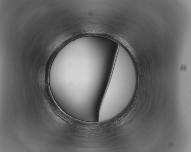 X0000090900627200707301012