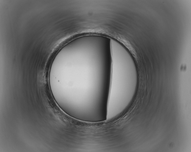 X0000090900628200707301012