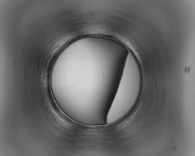 X0000090900629200707301012