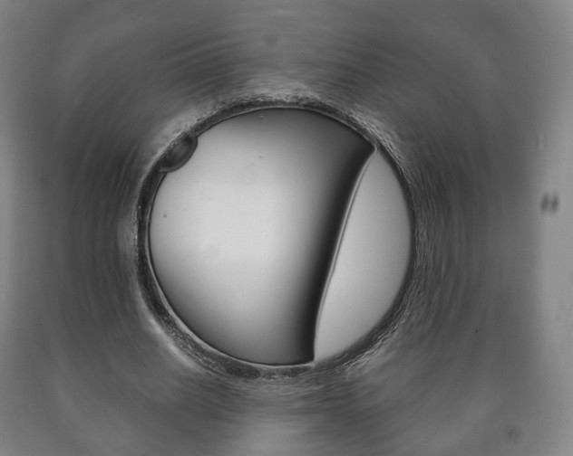 X0000090900630200707301012