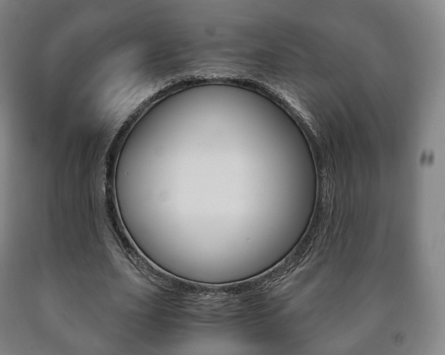 X0000090900631200707301012