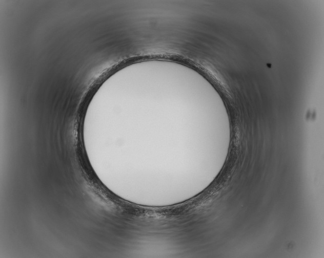 X0000090900632200707301012