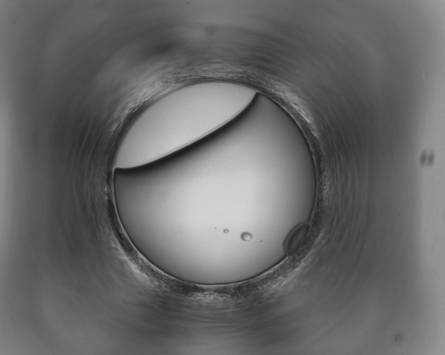 X0000090900633200707301012