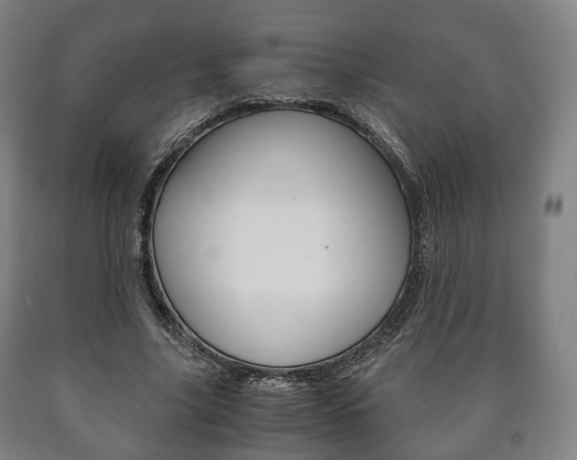 X0000090900635200707301012