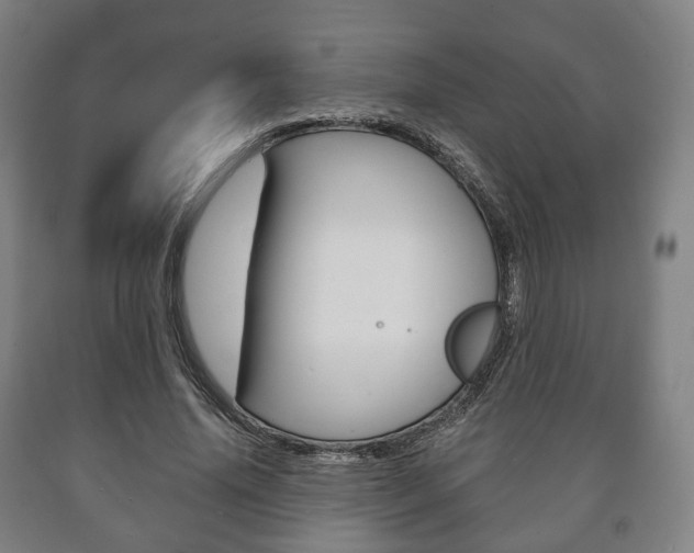 X0000090900636200707301012
