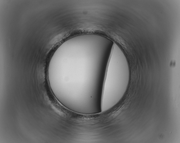 X0000090900638200707301012