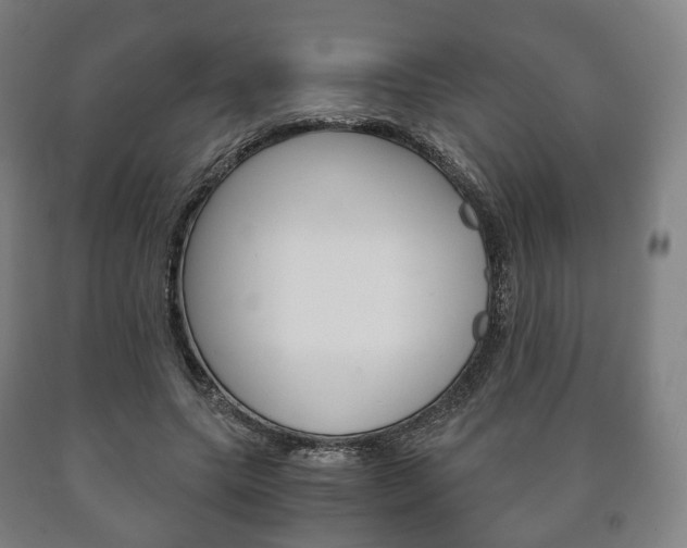 X0000090900639200707301012
