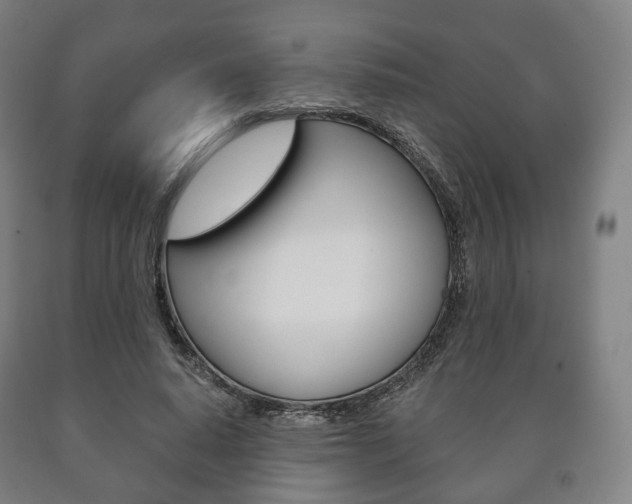 X0000090900640200707301012