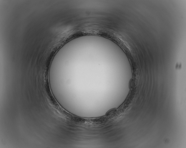 X0000090900641200707301012