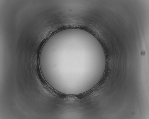 X0000090900642200707301012