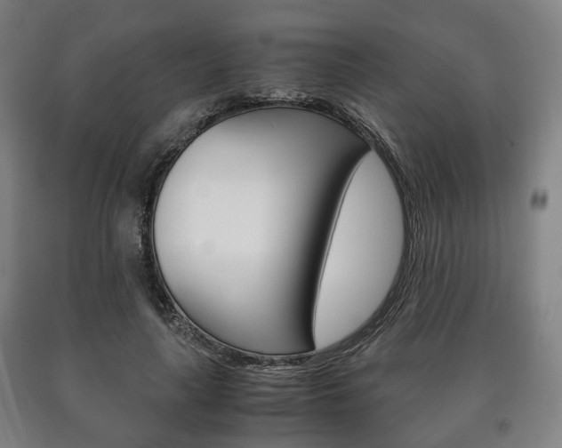 X0000090900643200707301012