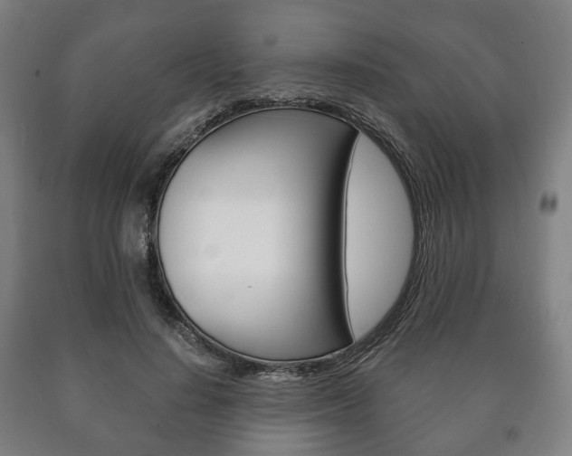 X0000090900644200707301012