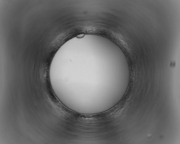 X0000090900645200707301012