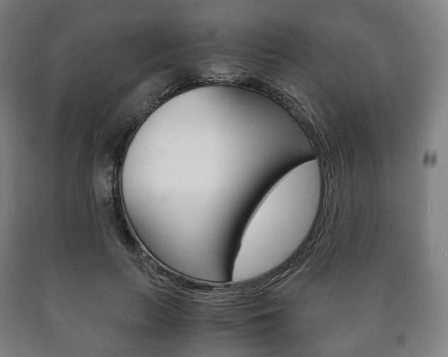 X0000090900647200707301012