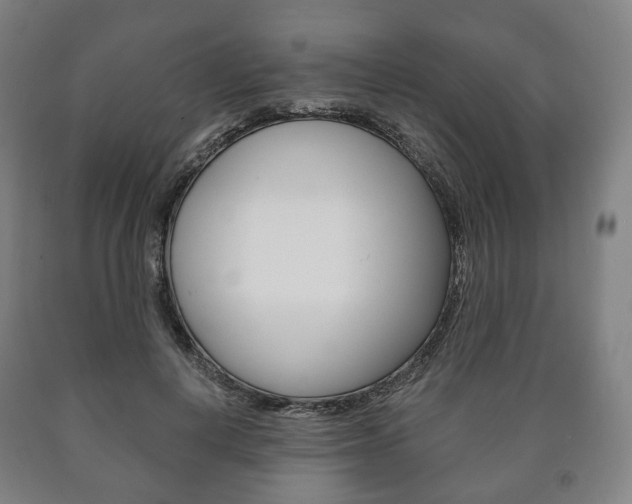 X0000090900648200707301012