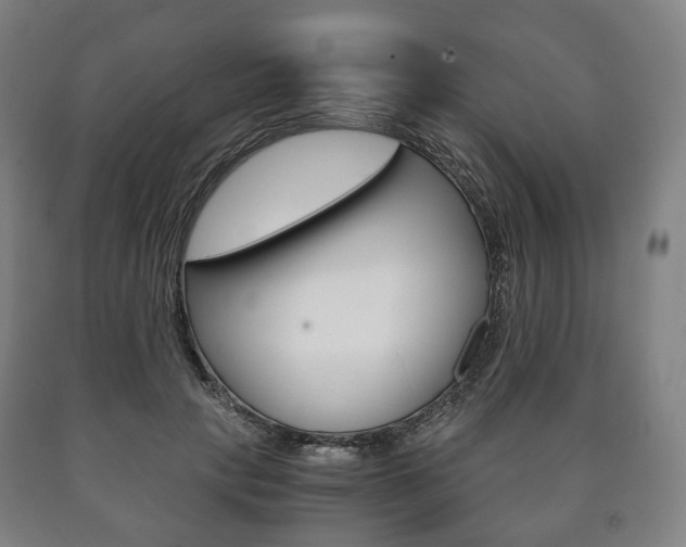 X0000090900649200707301012