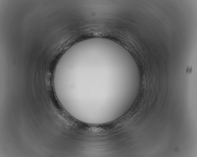 X0000090900650200707301012