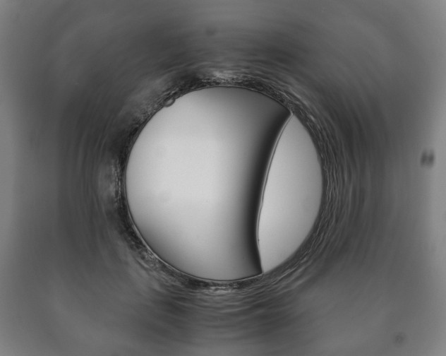 X0000090900651200707301012