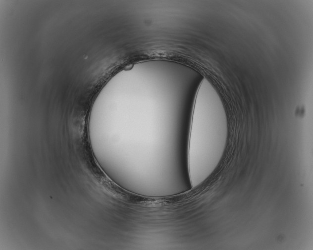 X0000090900652200707301012