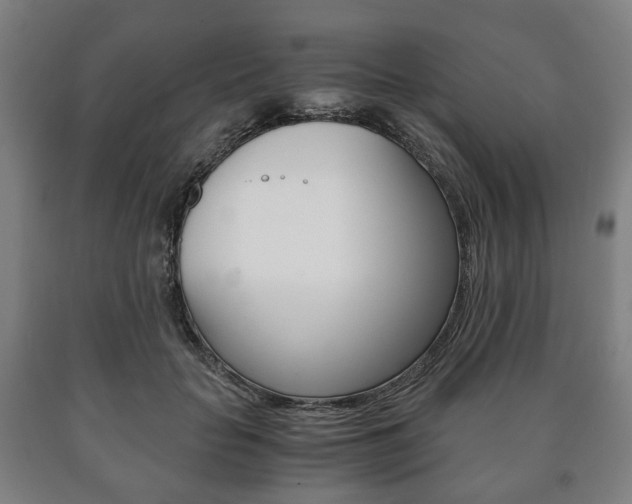 X0000090900653200707301012