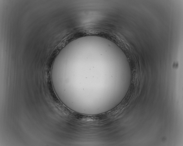 X0000090900655200707301012