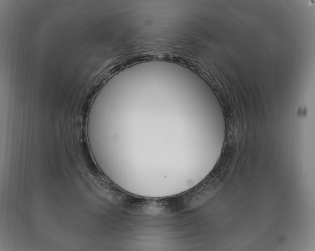 X0000090900656200707301012