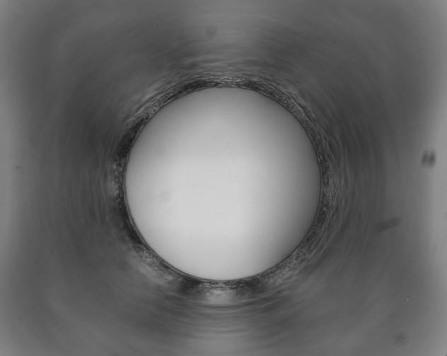X0000090900658200707301012
