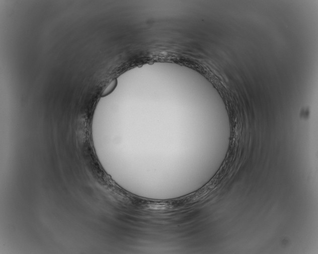 X0000090900659200707301012