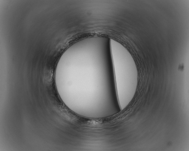 X0000090900660200707301012