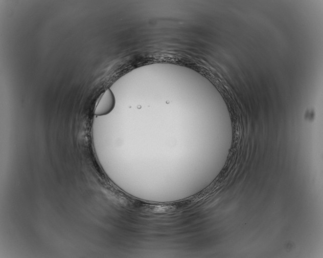 X0000090900663200707301012