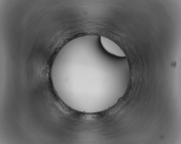 X0000090900664200707301012