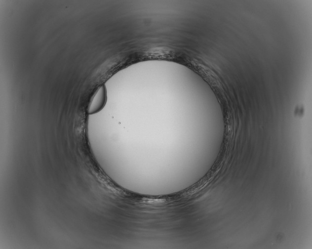 X0000090900665200707301012