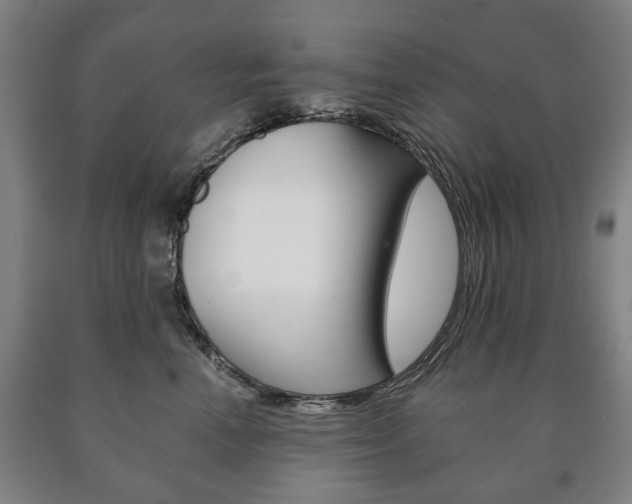 X0000090900666200707301012